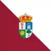 Flag of Destriana, Spain