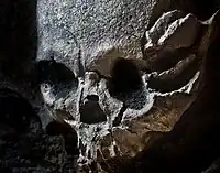 A skull recovered at Banpo displayed at the Xi'an Banpo Museum.