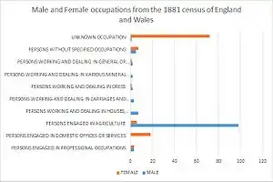 chart showing the occupations of the population in High Laver through genders in the year 1881, as reported by the VisionofBritain website.