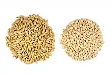 Seeds with and without the outer husk