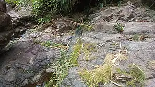 Dike below Puray Falls in Rodriguez, Rizal Philippines intruding pinkish-brown trachyte