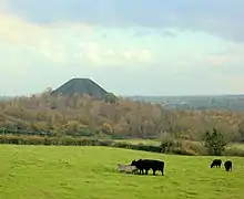 Black conical hill showing above trees and fields