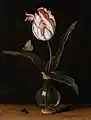 Vase with a single Tulip, 1625, Mauritshuis, The Hague.
