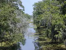 Kenta Canal at Barataria Preserve, Louisiana