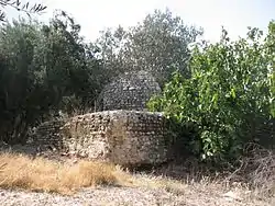 Old structure from Bayt Daras, presently in Azrikam