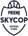 Skycop sponsorship logo (2018–2019)