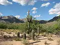 Bear Canyon Trail