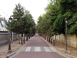 The Avenue des Sapins, in Beauchamp