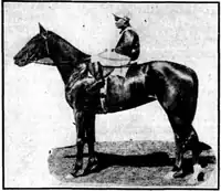 Black and white photograph of a horse.