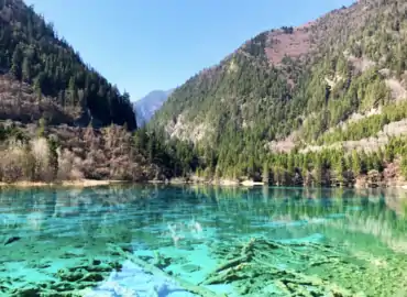 Stunning emerald green lake water in the park