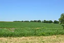 Fields west of Beaverville