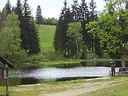 Lake at Bedřichov