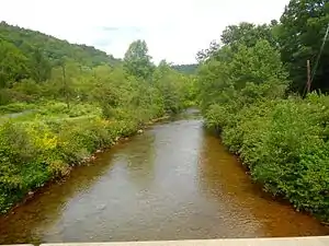 Beech Creek stream looking West (up stream) towards "Centrebrick".