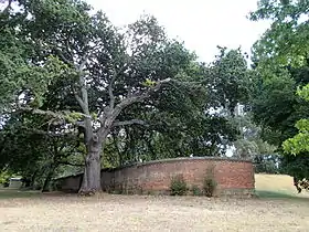 Remains of the original ha-ha wall at Beechworth Asylum from the "outside" of the original asylum boundary