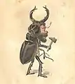 Beetle 1873