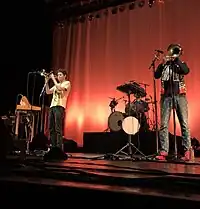 Beirut performing at The Wiltern Theatre in Los Angeles in 2019