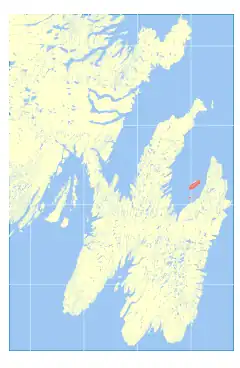 Map of eastern Newfoundland showing the Bell Island Group (click to enlarge)