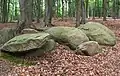 Megalithic tomb "Devil's Dough Trough" in Vehrte