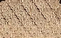 Sebka motif filled with arabesques in the carved  stucco decoration of the Ben Youssef Madrasa