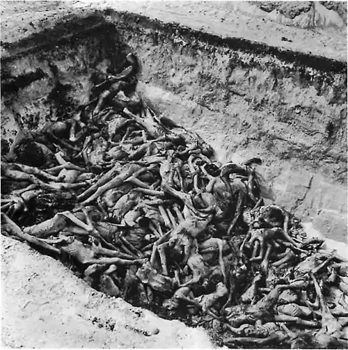 Image 2The bodies of the dead lie awaiting burial in a mass grave at the camp. (Bergen-Belsen concentration camp)