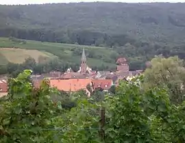 A general view of Bergholtzzell
