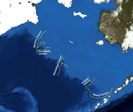 Bering Sea showing the larger of the submarine canyons that cut the margi