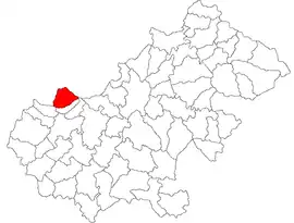 Location in Satu Mare County