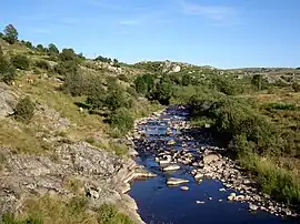 The Bès river, in the valley of Recoules d'Aubrac
