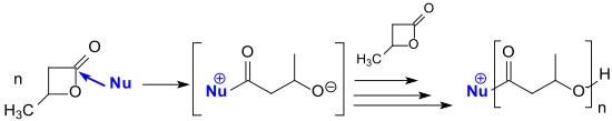 Ringöffnende Polymerisation von β-BL mit N-heterocyclischen Carbenen (NHCs)