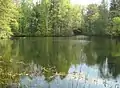 Pond by the turbine house