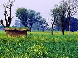 Rural scene in Bhimber District