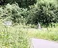 Bicycles in Tideman Johnson Natural Area