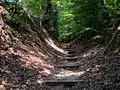 A dirt trail, a remnant of the Memphis to Little Rock Road, along a depression in the earth, with large trees on either side casting shadows on the path ahead.