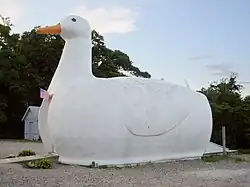 The iconic Big Duck along New York State Route 24 in Flanders.