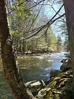 Bigelow Brook in Eastford, CT along Natchaug Trail. Looking South.