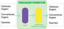 Biogasoline Production Process