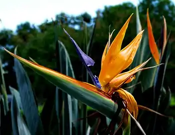 Nassau Bay, Texas