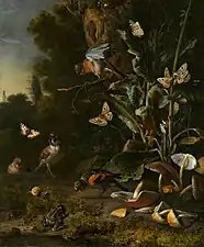 Birds, Butterflies and Frog with Plants and Fungi (1668), oil on canvas, 68.3 x 56.8 cm., National Gallery