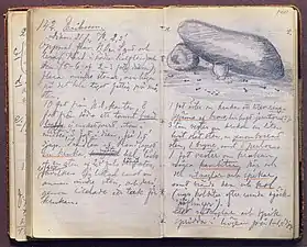 Sketch from Stolpe's diary about Birka in 1875