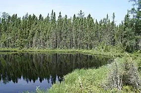 Image 43Blackjack Springs Wilderness, in the Chequamegon–Nicolet National Forest. (from Geography of Wisconsin)