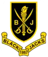The Coat of Arms of the National Society of Blackjacks