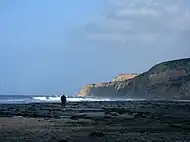 Black's Beach access from the North (Torrey Pines Beach)