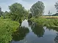 River Chelmer near Papermill Lock, Little Baddow