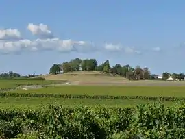 Site of the former castle