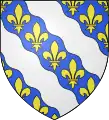 Coat of arms of department 78