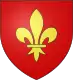 Coat of arms of Bourg-de-Visa