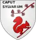 Coat of arms of Captieux