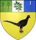 Coat of arms of Pizay