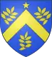 Coat of arms of Saint-Fiel