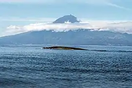 Pico volcano on Pico island